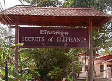 Hotel Secrets Of Elephants Siem Reap Zewnętrze zdjęcie